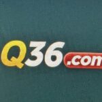 q36 game