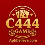 C444 Game